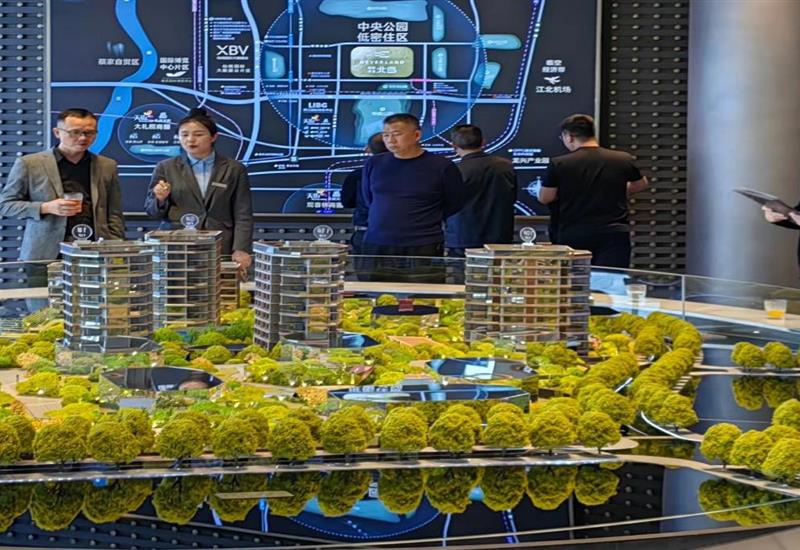 必发集团房产与合力公司赴沉庆发展项目产品定位调查调研 (2)_800-550