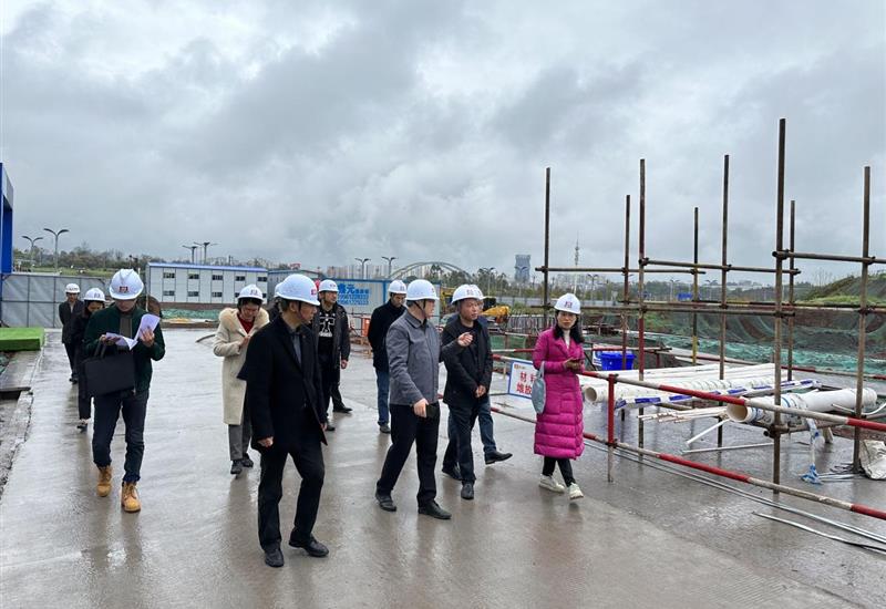 视注区水务局赴必发集团·天空的院子项目发展示场领导工作 (2)_800-550